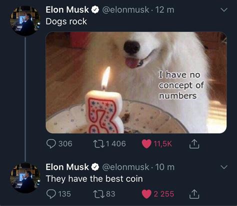 Did we find elon musk's 36 billion dogecoin address? Dogecoin Meme Elon Musk - Dogecoin Valoriza 19 Apos Elon ...