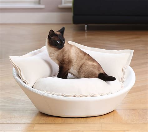 We sell fastest car bed in the world… Luxury Leather Mila Cat Bed - Chelsea Cats