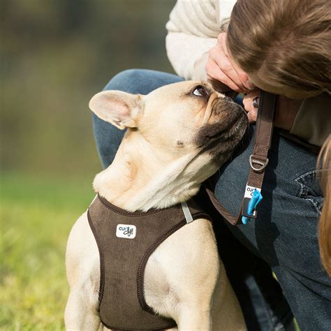 He referred to maya as his 'partner at the time of lockdown' in a new podcast interviewcredit: Curli Vest Geschirr Cord für Hunde von Curli günstig ...