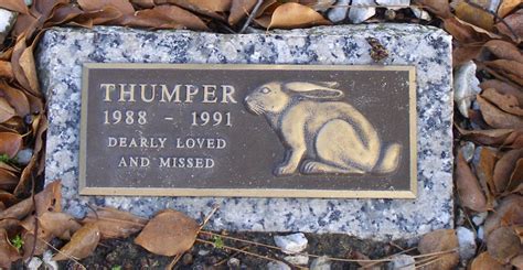 484,south hunt club boulevard, , 32703, seminole ארצות הברית. Florida Pet Cemeteries | RoadsideArchitecture.com