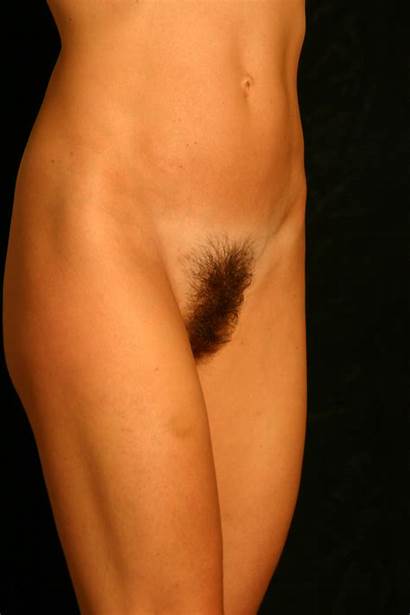 Pubic Female Natural Nude Hairy Area Puberty