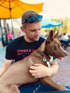Top keywords % of search traffic. Best Rescue Dogs Minnesota (Mn) 2020 - Top 10! We Love Doodles