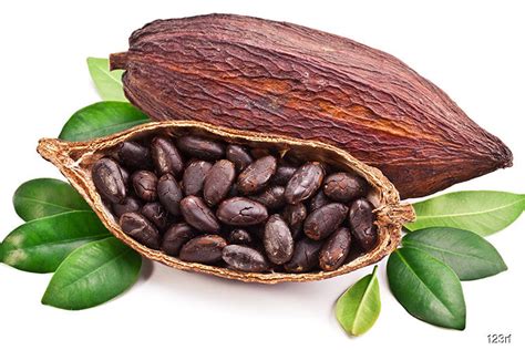 Deliprompt food & beverage industry sdn. Ministry optimistic cocoa industry can hit RM6b export ...
