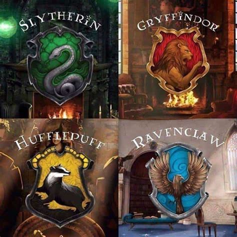 Jedes der vier häuser von gryffindor, slytherin, hufflepuff und ravenclaw hat andere wertvorstellungen und steht für andere ziele ein. Dein Leben in der Zauberwelt