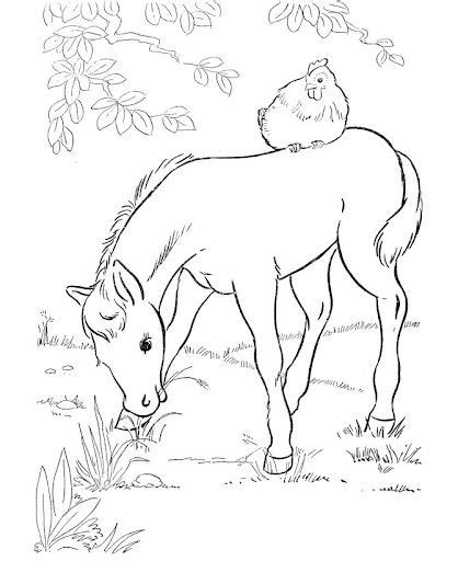 Music is magic tour, a scripted musical event featuring songs, prizes, and author signings. Coloring Book~Our Pony Pal | Horse coloring pages, Farm ...