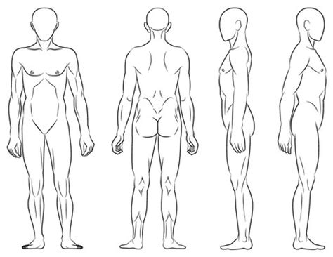 Some examples include the anterior and posterior pituitary , superior and inferior venae cavae , the median cerebral artery, and the axial skeleton. Icon or button design contest | Body Diagram for Professional Massage Chart: front, back, left ...