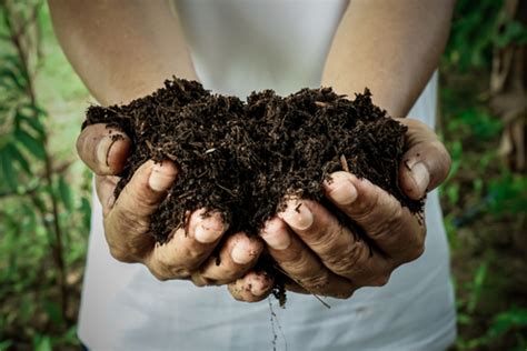 Weitere details zur probenentnahme und nährstoffen sind leitfaden für die düngung im garten der. Bodenanalyse » So untersuchen Sie Ihren Boden mit ...