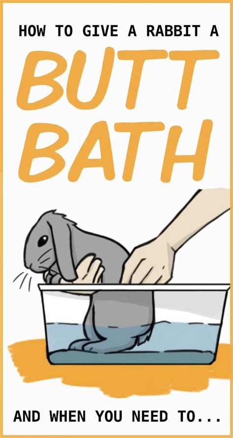 Babies who sweat a lot or spit up frequently will need to be bathed more frequently, while babies who stay mostly. The Hidden Dangers Of Giving Your Pet Rabbit a Bath | Pet ...