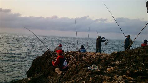 One of the best high quality wallpapers site! Cara Mancing Rock Fishing ~ Resep Umpan Ikan Paling Jitu