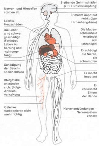 Bei einem schweren verlauf siedeln sich erreger der gürtelrose an den inneren organen an. wo genau ist die bauchspeicheldrüse auf diesem bild ...