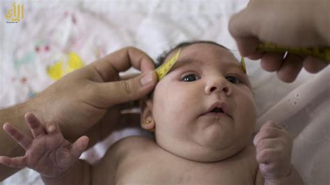 في مايو 2015 ، أصدرت منظمة الصحة للبلدان الأمريكية تنبيهًا. فيروس زيكا يختفي بجسم الإنسان بمأمن من جهاز المناعة ...