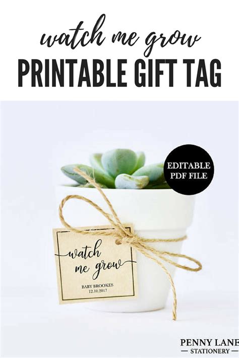 You could buy the decorations or go the diy route. Watch Me Grow Tags, Editable PDF, Favor Tags, Baby Shower ...