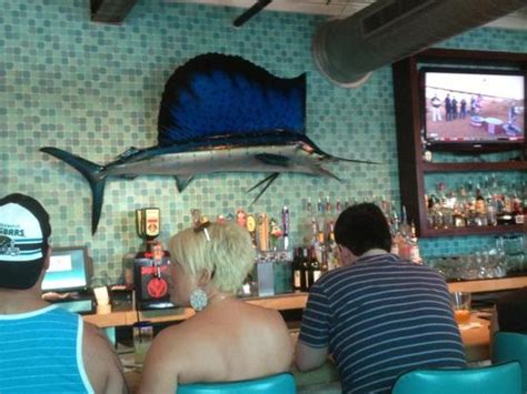 Here is the eat drink and be salty. Salt Life Food Shack in Jacksonville Beach, Florida ...