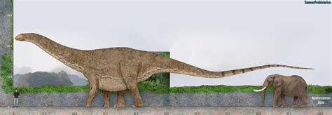 This apatosaurus figure has appeared across the movie franchise and is a fan favourite! Apatosaurus Size by SameerPrehistorica on DeviantArt