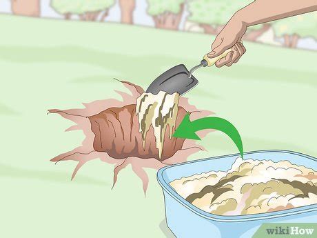 Maybe you would like to learn more about one of these? 3 Ways to Prepare Soil for Fruit Trees - wikiHow