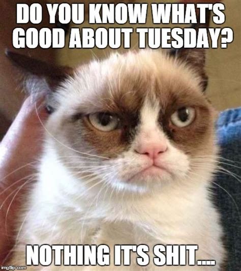 40 tuesday work memes ranked in order of popularity and relevancy. It's only Tuesday meme pictures to resume how I feel at work everyday
