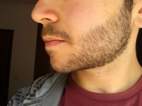Deepening of voice and appearance of facial hair. Rodas' 19 yo beard journey (a new week 7 update!) - Beard ...