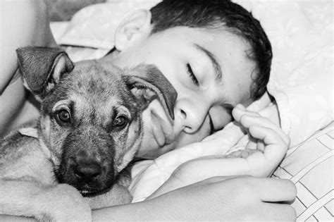 What To Expect Your First Night With Your Rescue Dog - Dog ...