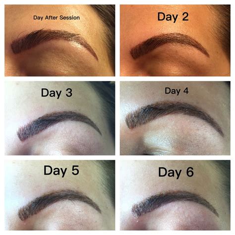 The day of the treatment the focus keyword is: Microblading the first week, day by day photos of ...