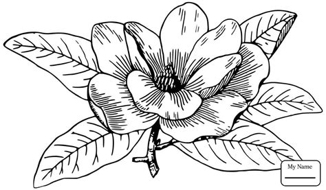 After checkout you will be directed to a page where. Louisiana Coloring Pages at GetColorings.com | Free ...