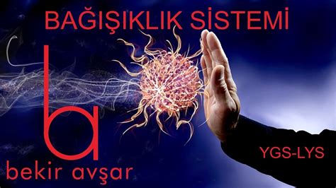 2020 yks konuları, 2020 yks konu dağılımı, 2020 yks konulara göre soru dağılımı ,2020 2019 yks testi soruları ve konu dağılımı, 2020 yks de hangi konular olacak nelerdir? YKS BAĞIŞIKLIK SİSTEMİ - YouTube