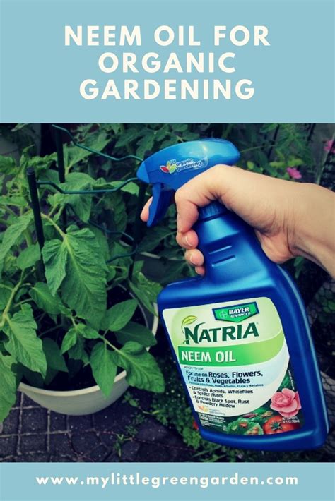 Many gardeners use neem because they view it as being not chemical. Neem Oil for Organic Gardening and Pest Control | Organic ...