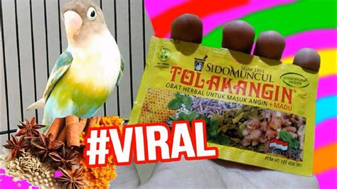 Baham bahan yang di perlukan. Racikan Jamu Lovbirt Konslet Untuk Betina : Cara Buat Lovebird Jantan Konslet Suara Keras Cara ...