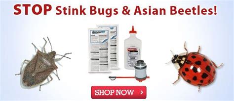 The first step in any mosquito control effort is to find and eliminate the mosquito breeding sites from your backyard. Pin on diy