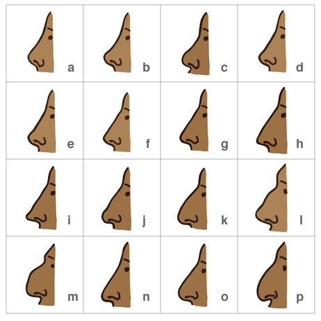 Your child will have great fun counting the number of shapes and spotting different shapes. Hamelin the Piper | Nose types, Job inspiration, Nose job