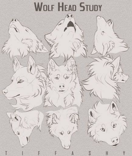 For even easier tutorials, every step is broken down to an individual image subscribe for new tutorials every week. 37 Trendy Drawing Wolf Tutorial Illustrations | Canine drawing, Animal drawings, Sketches