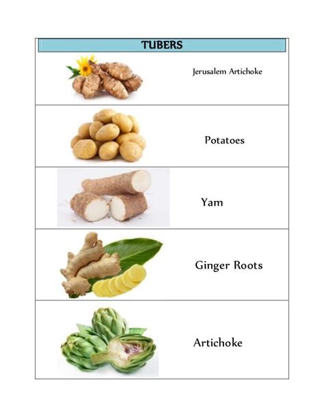 According to the numerology prediction of this name, the lucky number is 1 and it impacts positively on personality development. Jerusalem Artichoke Meaning In Hindi - Download Free Mock-up
