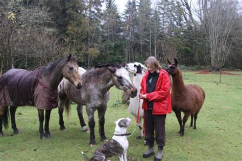 Book trusted sitters and boarders. Mystic Mountain Pet Retreat in Monroe, Washington (WA)