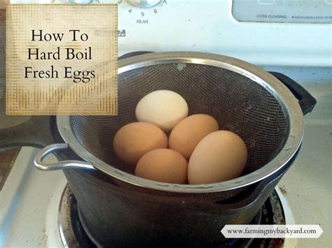 Because the eggs cook in water that's not actually boiling. How To Hard Boil Fresh Eggs - Farming My Backyard