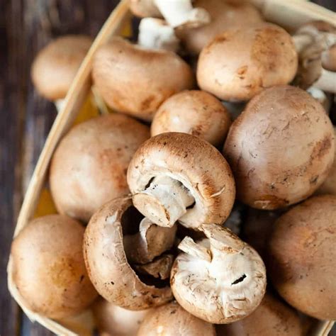 Top 9 How Long Do Mushrooms Last In The Fridge