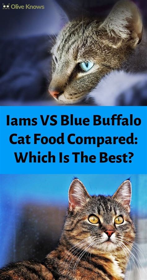 Eleven of these amino acids are synthesized naturally, the remaining eleven are consumed. Iams vs Blue Buffalo Cat Food Compared: Which Is The Best ...