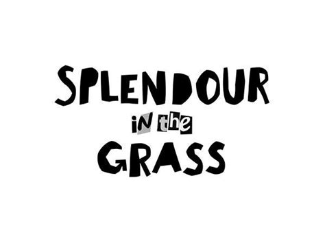 Splendour's 'bout to hit you with that 20/20, 20/20 vision. Splendour in the Grass 2021 Tickets | Line Up, Dates & Prices | Live Nation Australia