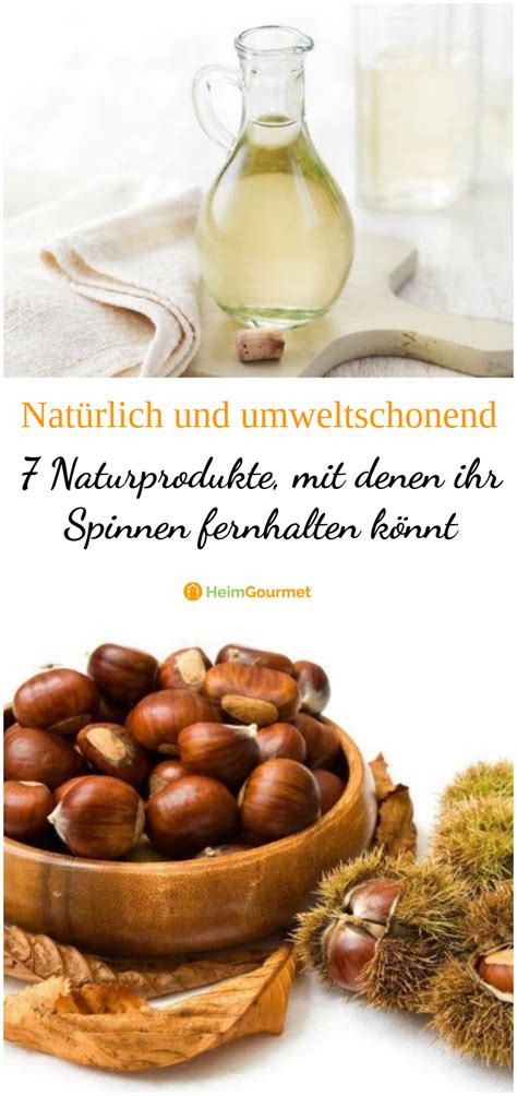 Spinnen unterscheiden sich in ihren wetterpräferenzen. 7 NATURPRODUKTE, die ihr zu Hause habt, mit denen ihr ...