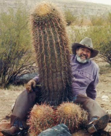In arizona it's illegal to cut down a saguaro cactus. 21 Dumb Laws in the US - Gallery | eBaum's World