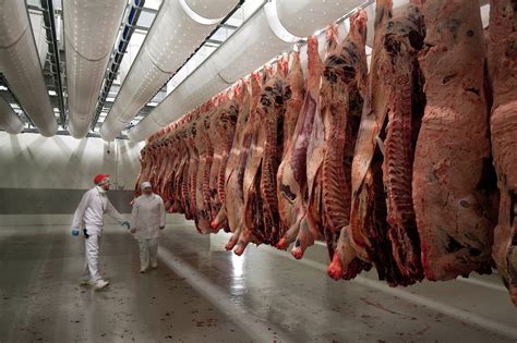 La société élabore également des produits. Le crépuscule de la viande industrielle | Alimentation ...