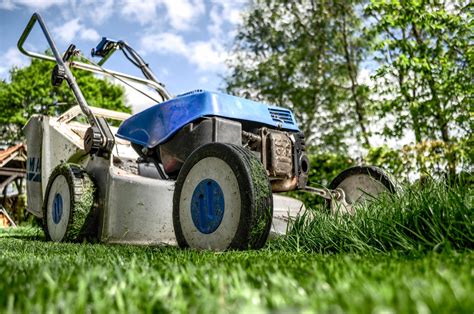 Bermuda grass stems spread rapidly thanks to rhizomes and stolons. Turf vs. Grass for Your Southern California Home - Nicki ...