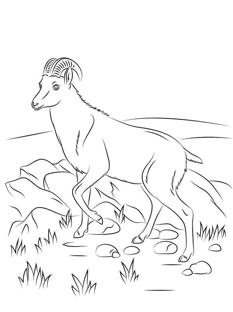 Leave a reply cancel reply. Free Printable Goat Coloring Pages For Kids