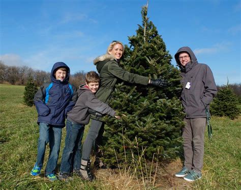 Best fall activities for kids in ny. 9 U-Cut Christmas Tree Farms Near Seattle, WA