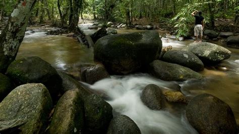 Maybe you would like to learn more about one of these? Sungai Tua Recreational Forest (Hutan Lipur Sungai Tua ...