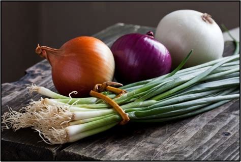 Ayurveda yang merupakan pengobatan tradisional yang berasal dari negara india, menyarankan bahwa konsumsi bawang putih pedas mengandung khasiat yang meredakan. Penuh Khasiat! Minyak Bawang Putih Boleh Jadikan Masakan ...