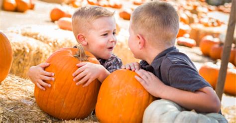 Fabulous Things to Do During Fall | Shelter Insurance®