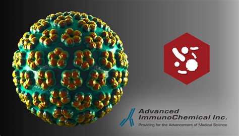 Serious danger is carcinogenic hpv, that is, viruses that can cause malignant degeneration of healthy cells. Human papillomavirus 52 positive squamous cell carcinoma ...