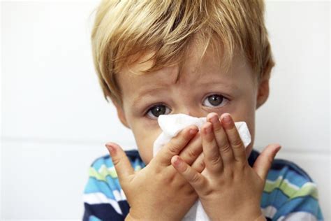 Respiratory syncytial virus (rsv), also called human respiratory syncytial virus (hrsv) and human orthopneumovirus, is a very common, contagious virus that causes infections of the respiratory tract. Virus Respiratorio Sincicial ¿Qué cosa es eso?