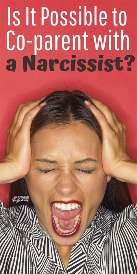 So if you can suggest things in a way that makes your ex look good or suggest an idea as if it was that person's idea, that would really be an advantageous thing for you to. Get these co-parenting tips when your ex is a narcissist ...