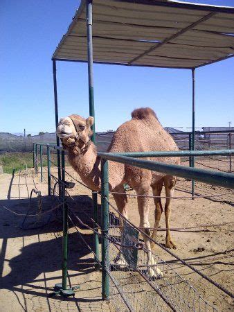 Skull valley, az, usa (wsw of prescott 10 miles), yavapai county, arizona, usa december 13, 2006. Pin on Yuma, Arizona