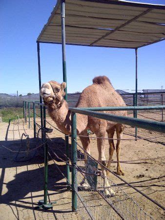 Skull valley, az, usa (wsw of prescott 10 miles), yavapai county, arizona, usa december 13, 2006. Pin on Yuma, Arizona